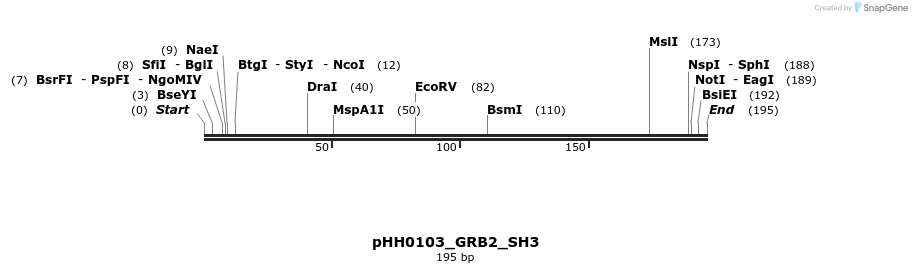 206967_map