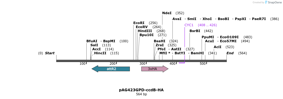 20697_map