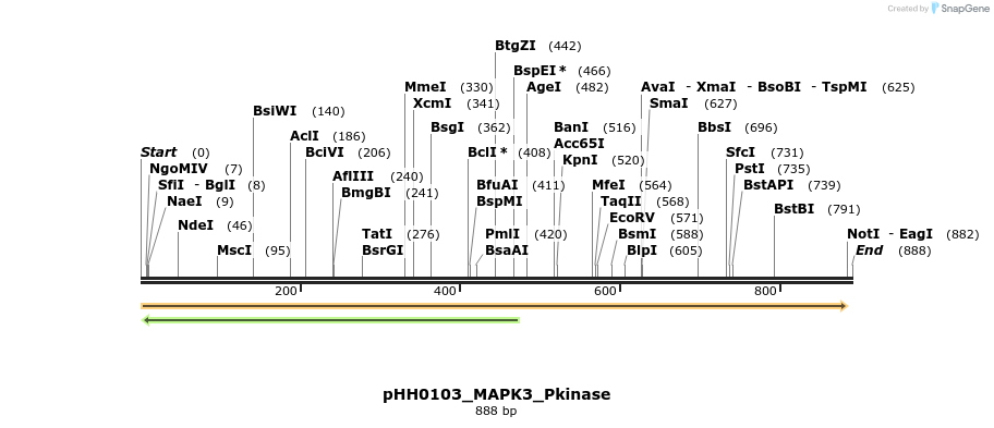206975_map