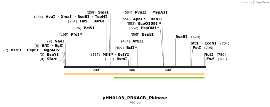 206976_map