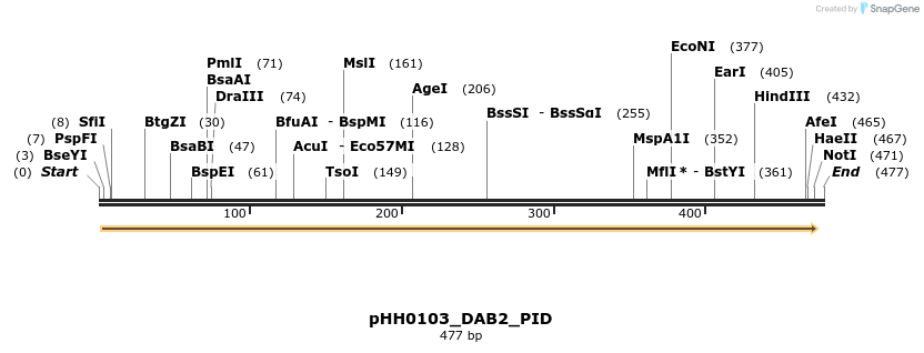 206981_map