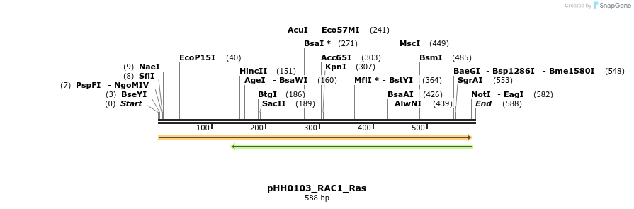 206982_map