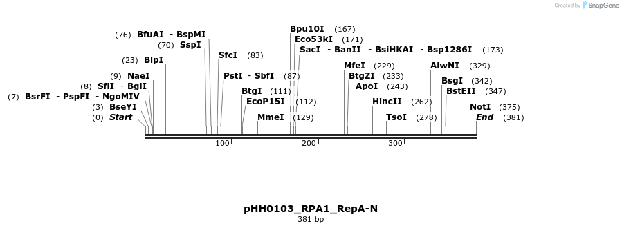 206984_map
