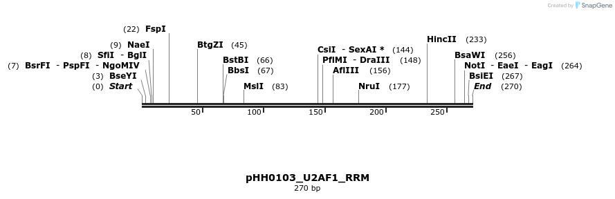 206985_map