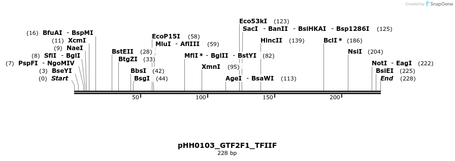 206989_map