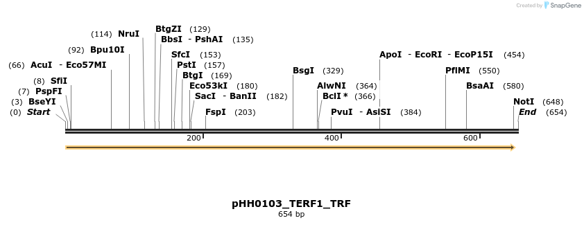 206992_map
