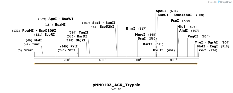 206994_map