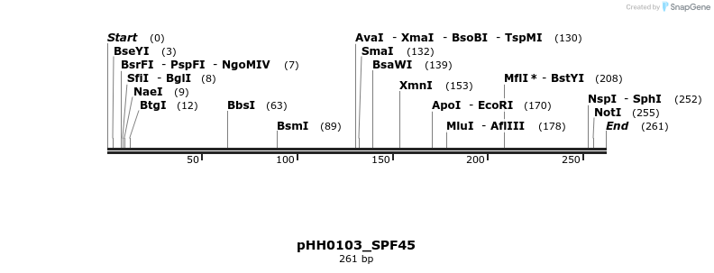 206996_map
