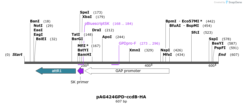20702_map
