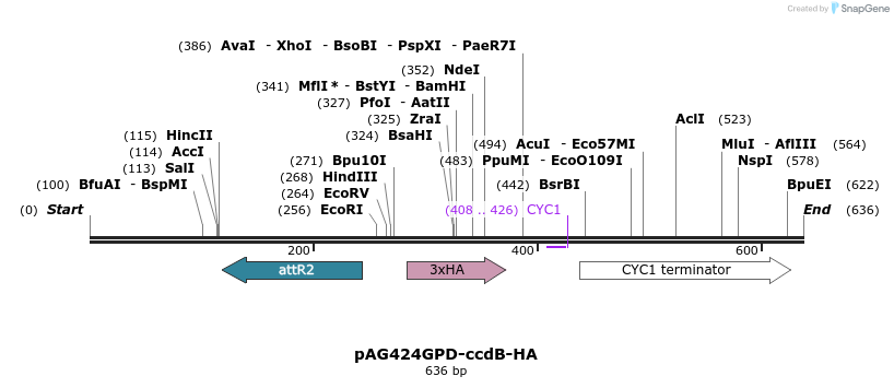 20703_map