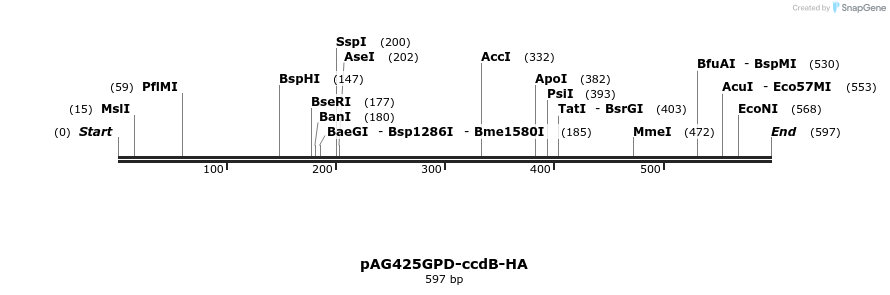 20707_map