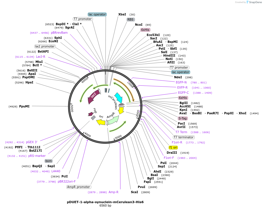 207070_map
