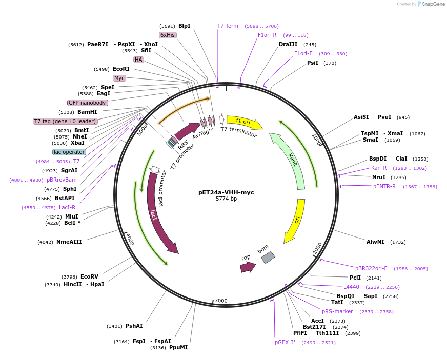 207072_map