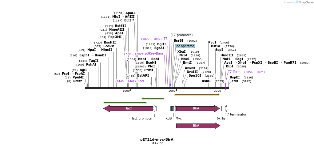 207074_map
