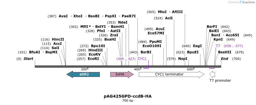 20709_map