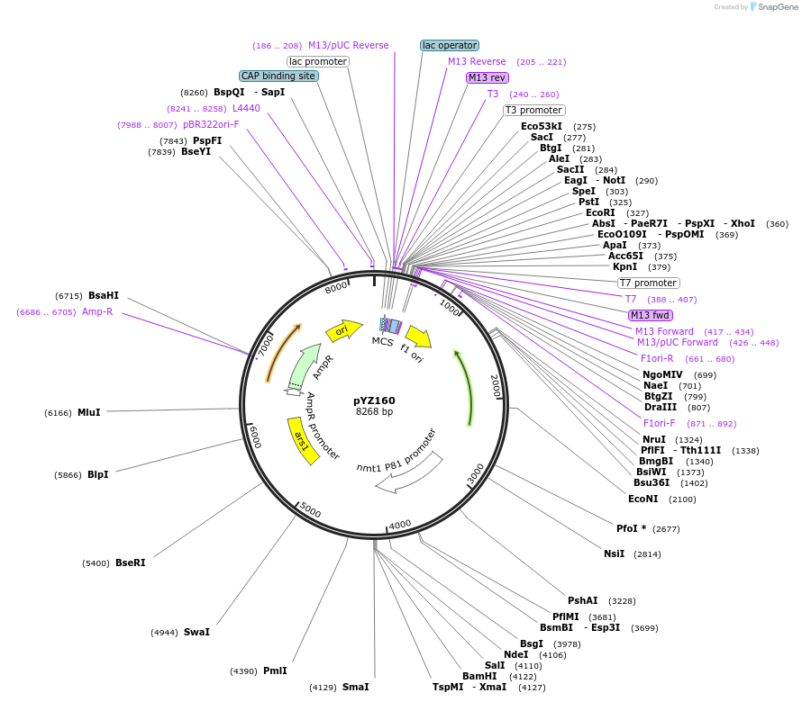 207094_map