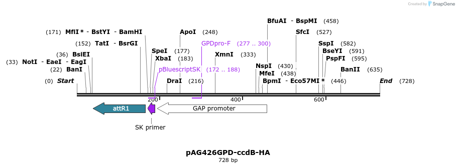 20714_map