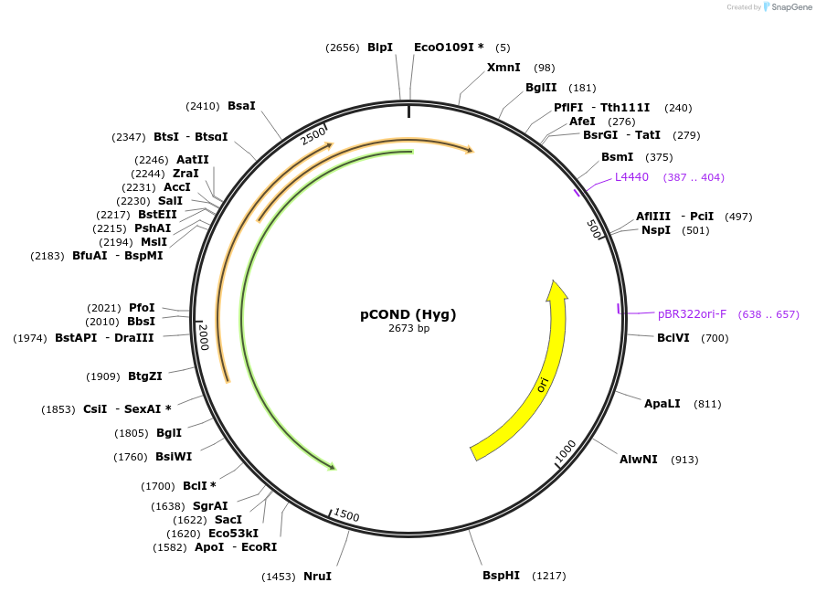 207142_map