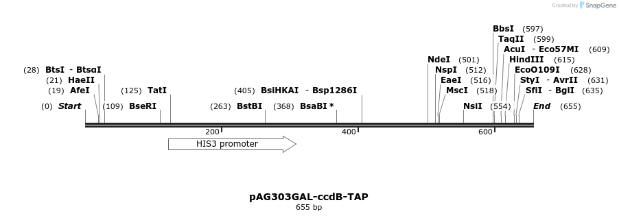 20716_map