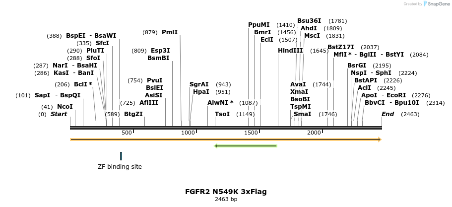 207175_map