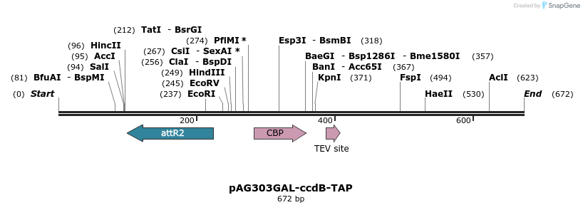 20718_map