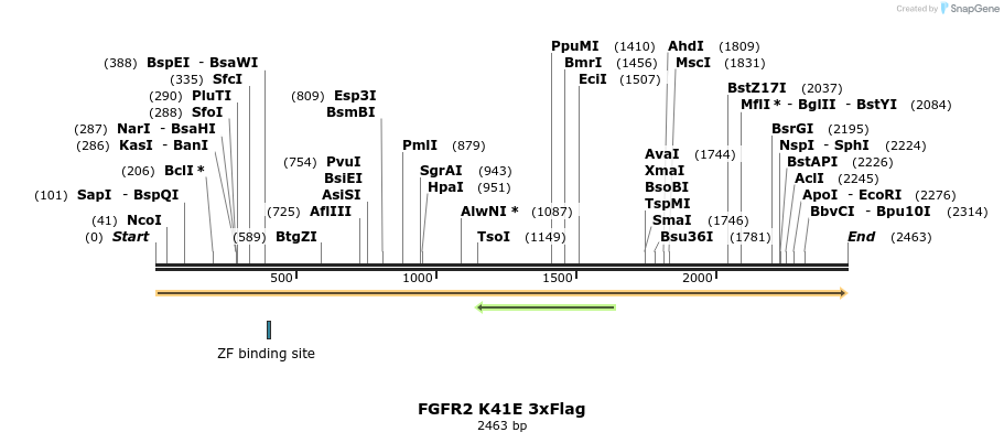 207180_map