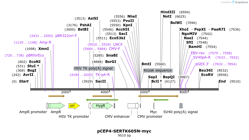 207198_map