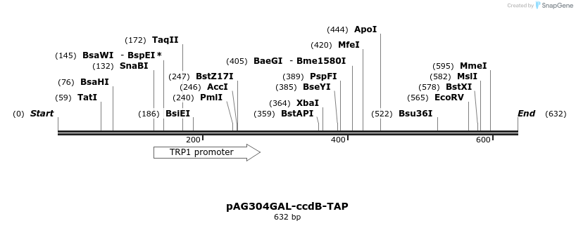 20722_map