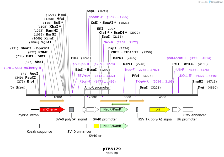 207250_map