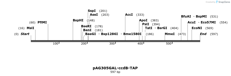 20728_map