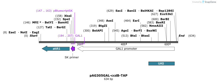 20729_map