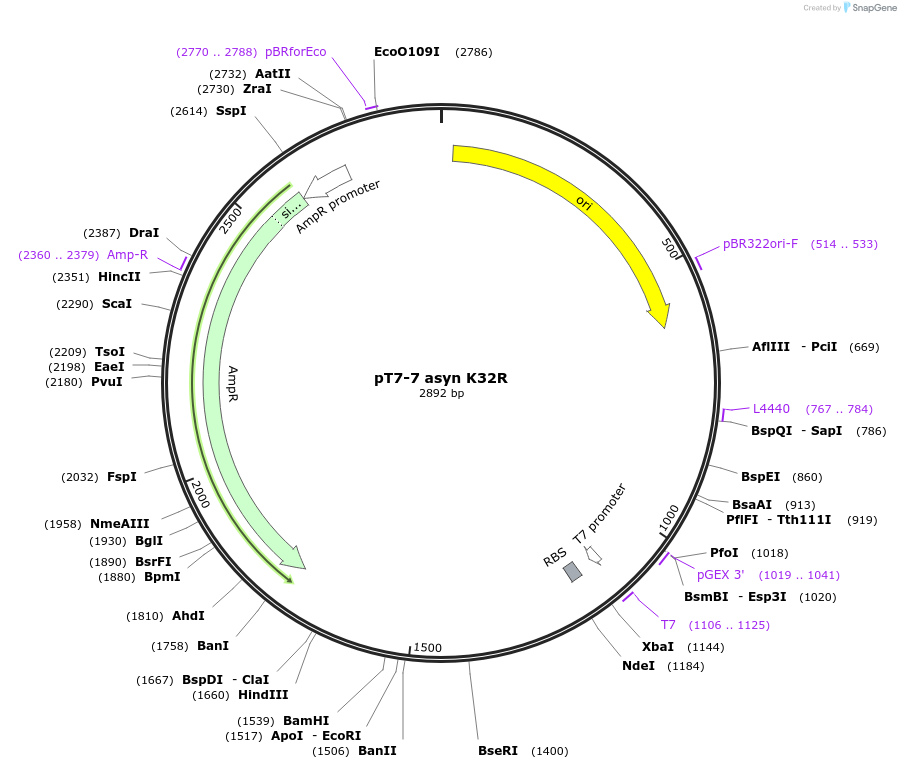 207290_map