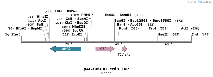 20730_map
