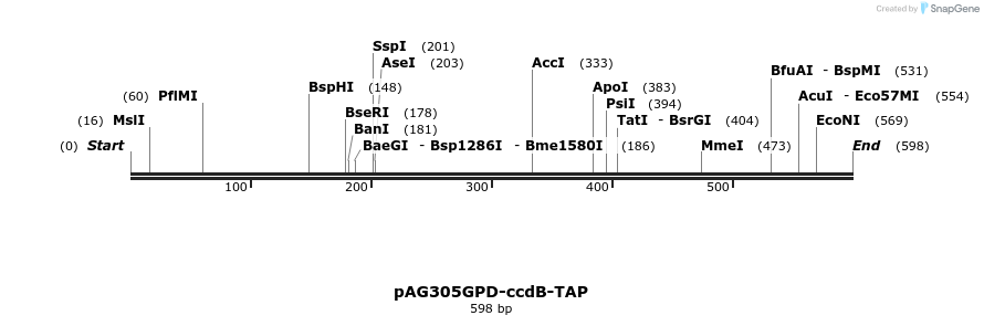 20731_map
