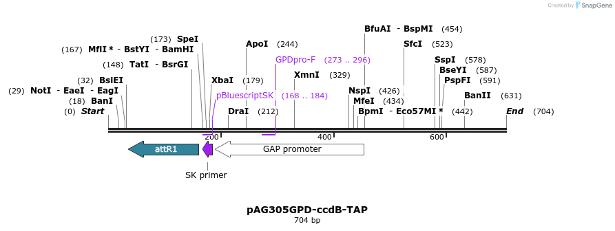 20732_map