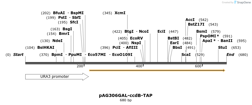 20734_map