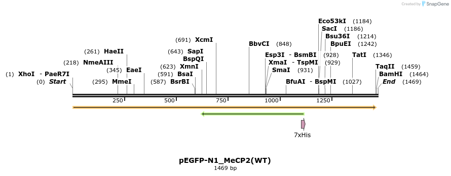 207351_map