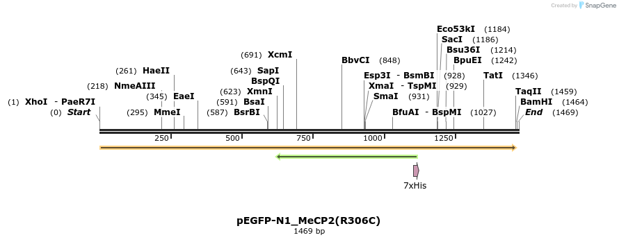 207355_map