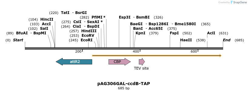 20736_map