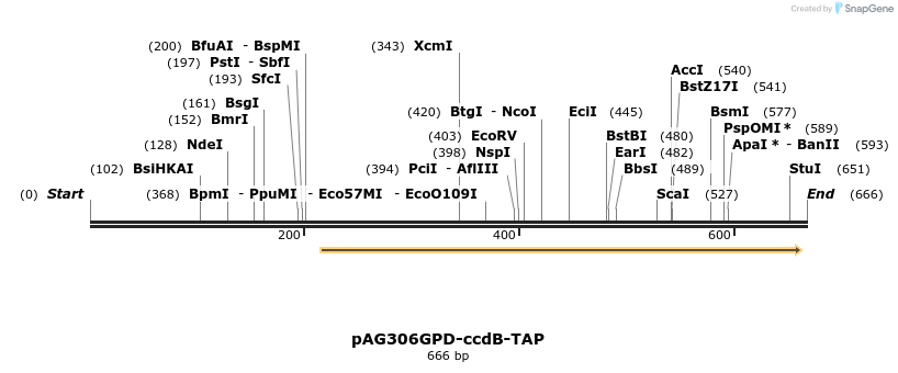 20737_map