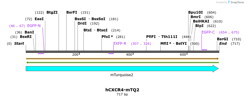 207402_map