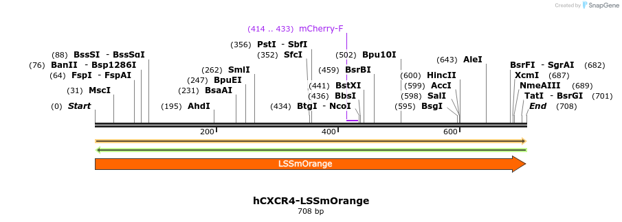 207404_map