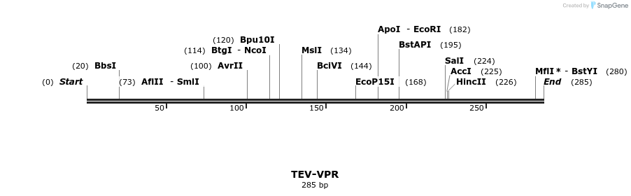 207409_map