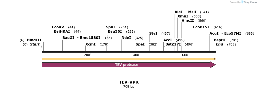 207410_map