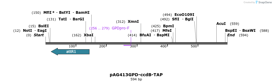 20744_map