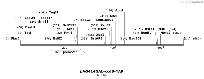 20746_map