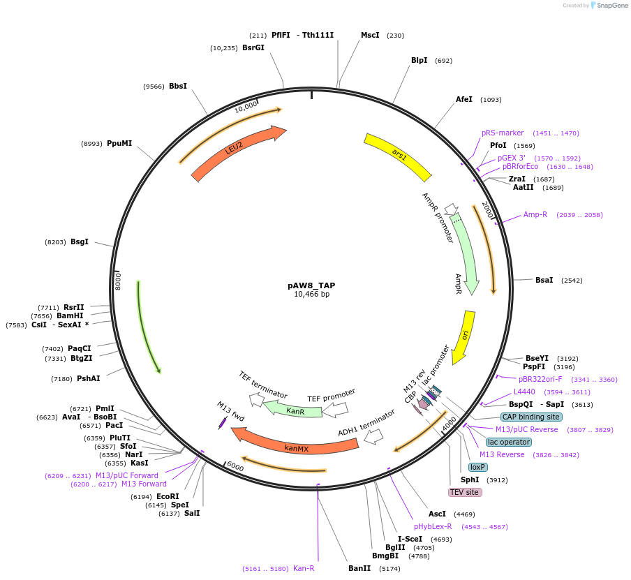 207513_map
