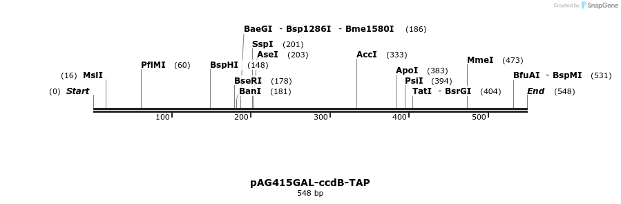 20752_map