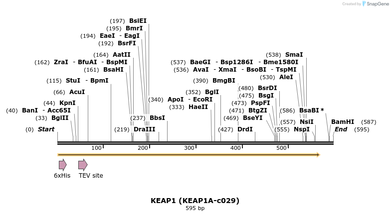 207521_map