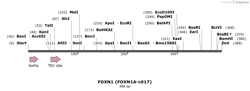 207523_map